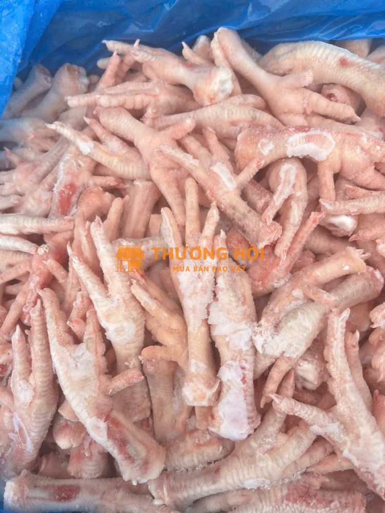 Chân gà nhập khẩu đông lạnh – Giao tận bếp, đủ giấy tờ