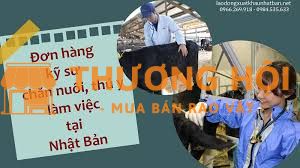 Kỹ sư chăn nuôi, thú y làm việc tại Nhật Bản