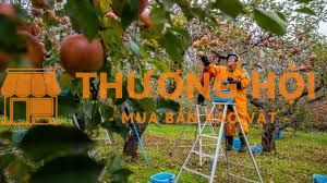 Đơn hàng nông nghiệp Nhật Bản