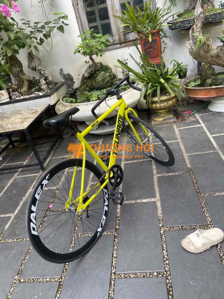 xe mới 95 %