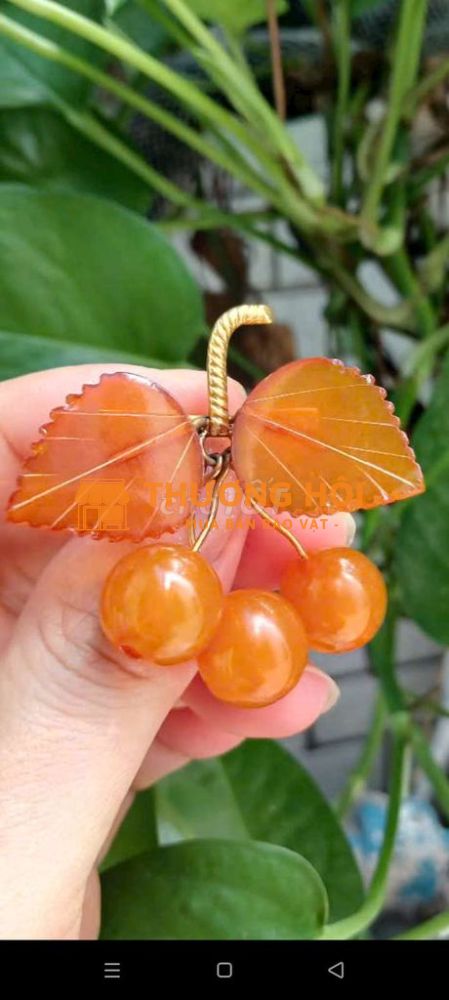 Cài áo chùm nho - hổ phách mật lạp rất đẹp, khung