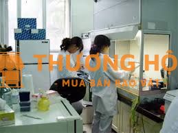 Nhân viên An toàn sinh học