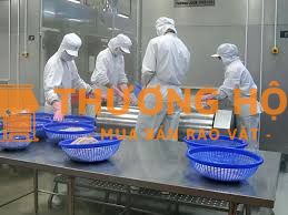 Cần 2 nữ biết tiếng đơn hàng chế biến thịt đông lạnh xkld Đài Loan
