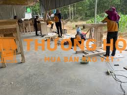 LAO ĐỘNG PHỔ THÔNG- PHỤ MỘC