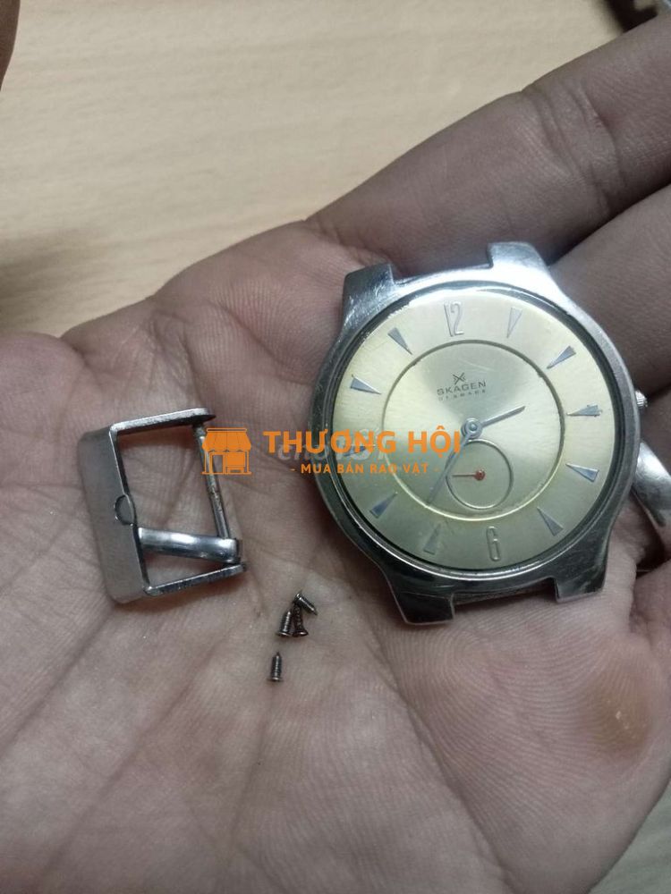 Đồng hồ Skagen