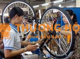 Tuyển 10 Nam/ Nữ làm thời vụ hoặc chính thức