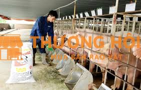 TUYỂN DỤNG CÔNG NHÂN CHĂN NUÔI (BAO ĂN, Ở)