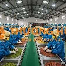 tuyển công nhân lựa hạt, tiếp liệu đóng gói