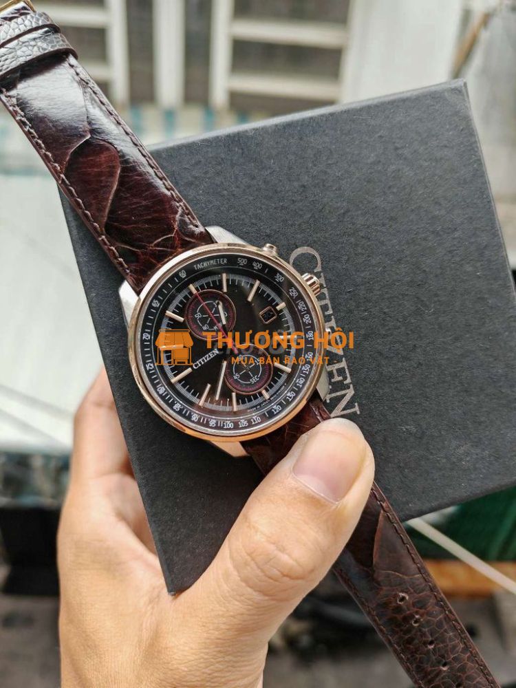 Citizen Eco driver chrono kính saphia limited
