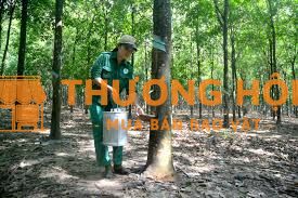 tuyển nhân viên cạo mủ cao su