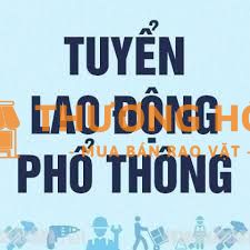 Tuyển lao động phổ thông