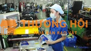 Tuyển 20 LĐPT đóng gói bao bì. Lương 9-13,5 triệu