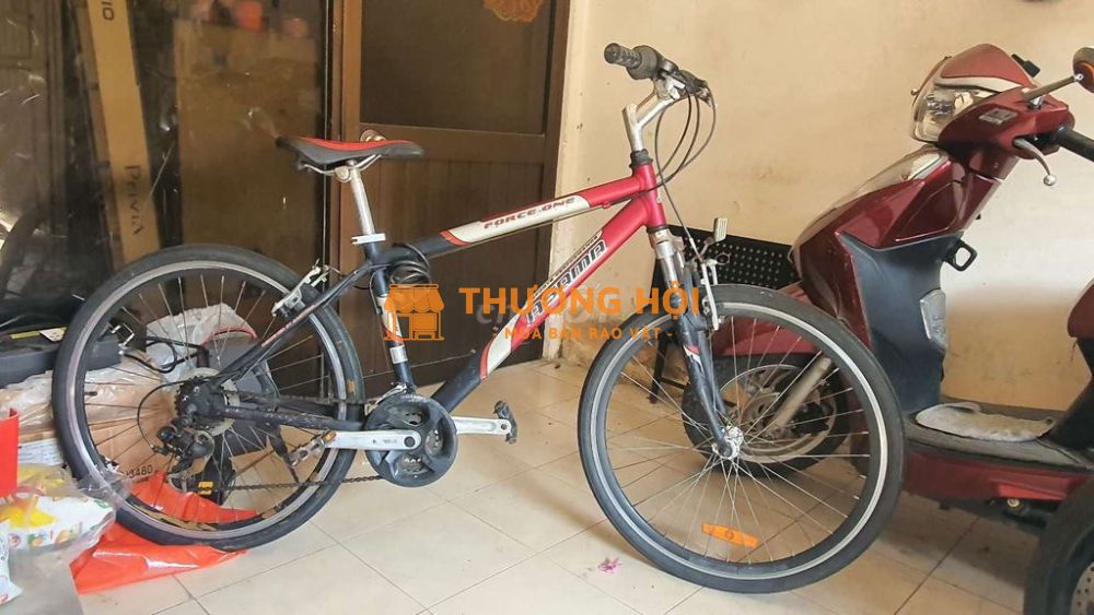 XE THỂ THAO