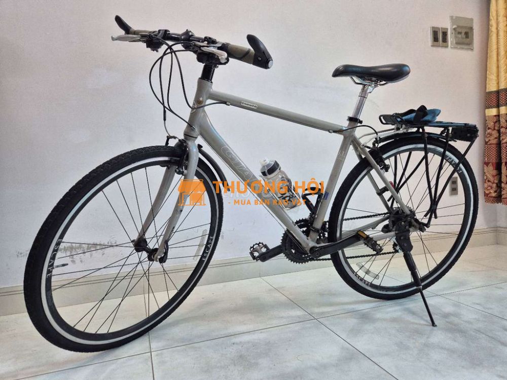 Giant Escape R 3.1 Nội địa Nhật