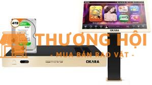 Bộ đầu Okara(4T) + Màn hình 21,5in giá 4.8tr.