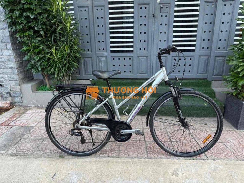 Strongman 27inchs