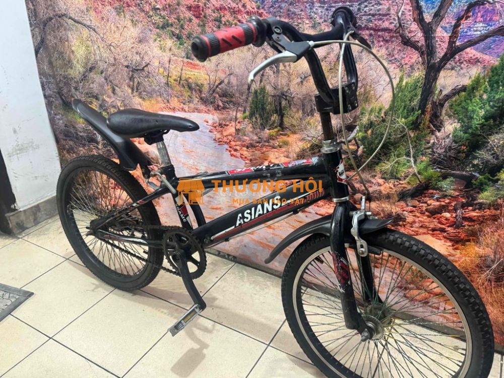 Xe xgame trẻ em Asian 20 inch