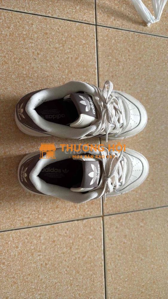 Pass lại giày Rivalry Low Adidas