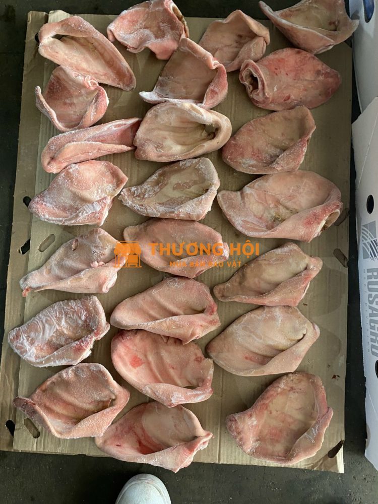 Tai heo Mỹ nhập khẩu – tiêu chuẩn quốc tế