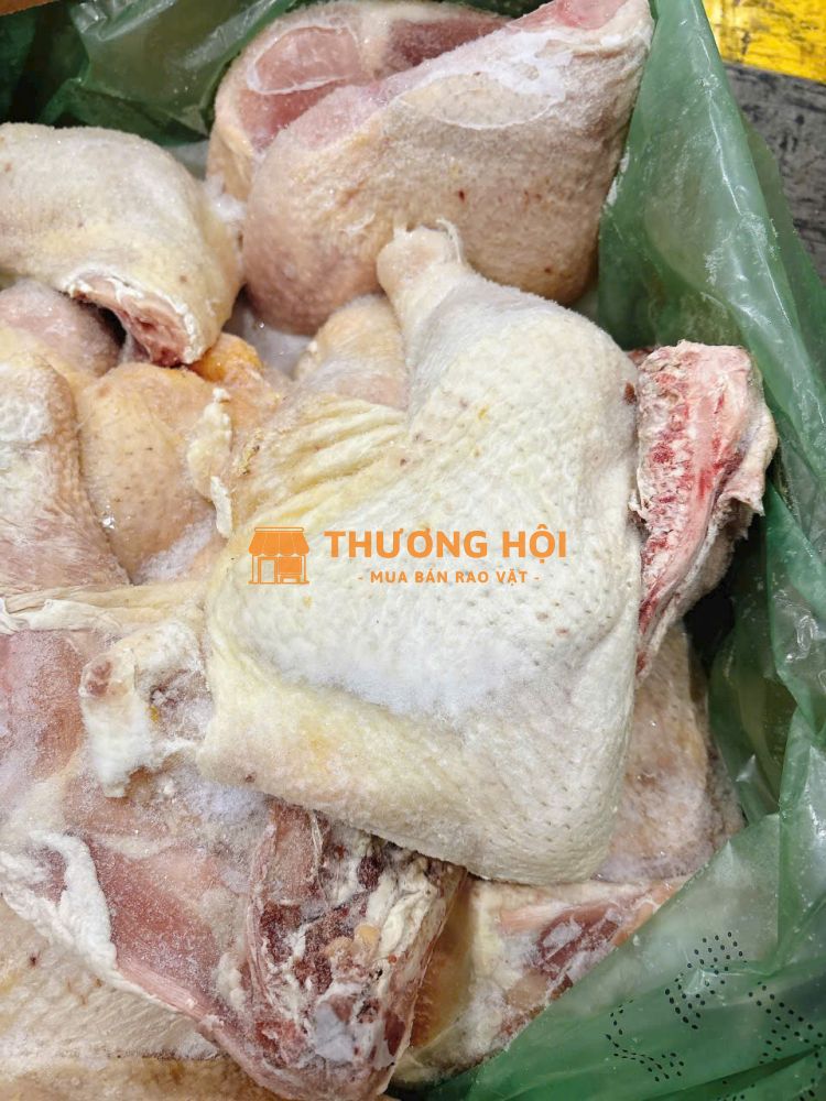 Đùi gà góc tư đông lạnh nhập khẩu – hàng chuẩn, giá siêu mềm