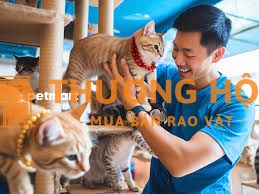 NHÂN VIÊN CHĂM SÓC MÈO & CẢNH QUAN VĂN PHÒNG