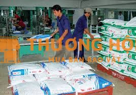 Tuyển Lao Động Phổ Thông