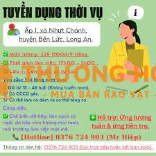Tuyển Dụng công nhân thời vụ Khu Vực Bến Lức, ĐH