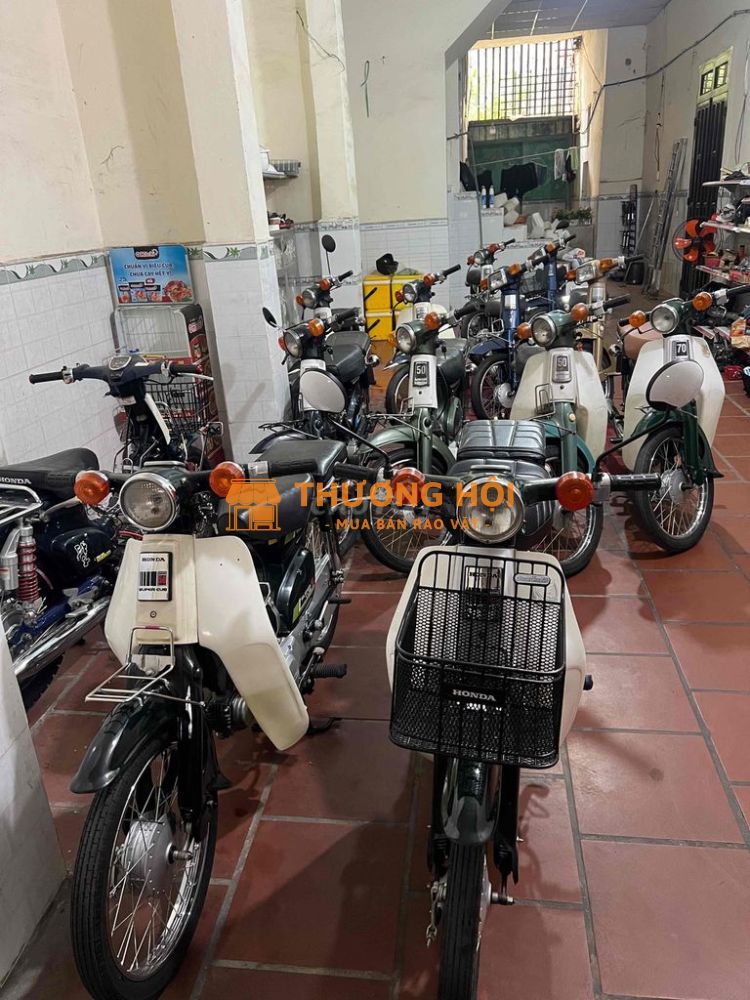 các dòng cub nhật
