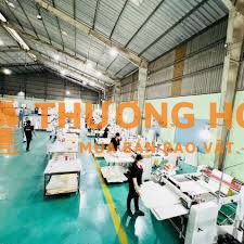 CTY Trang Hoàng cần tuyển lao động phổ thông Nam