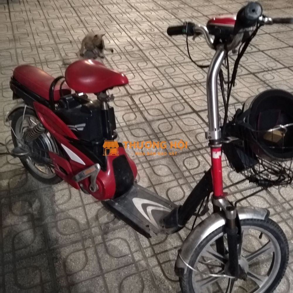 Đạp điện