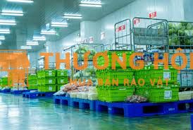 Cần nữ cần hàng, bao chi phí ở điện nước