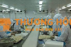 CTY THỰC PHẨM TUYỂN 100 NAM/NỮ LÃNH LƯƠNG TUẦN