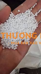 Cần tuyển lao động phố thông