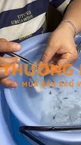 TUYỂN NHÂN VIÊN NHẶT LÔNG YẾN TẠI Q8