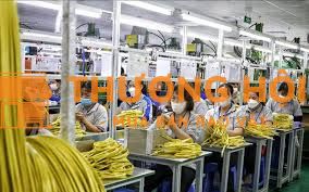 2 nữ đi mới đơn hàng sản xuất dây điện xkld Đài Loan