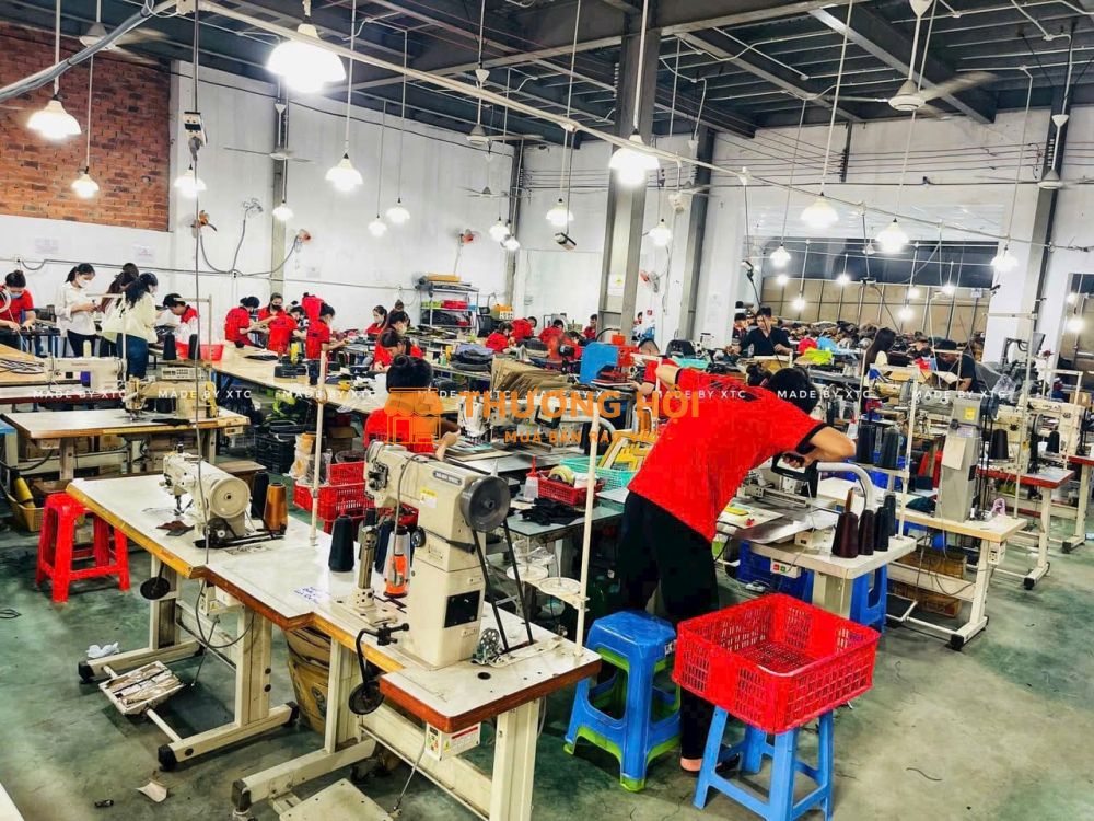 TỪ BRAND LOCAL ĐẾN BRAND QUỐC TẾ – XƯỞNG TRƯỜNG CHINH XTC ĐỀU LÀM ĐƯỢC