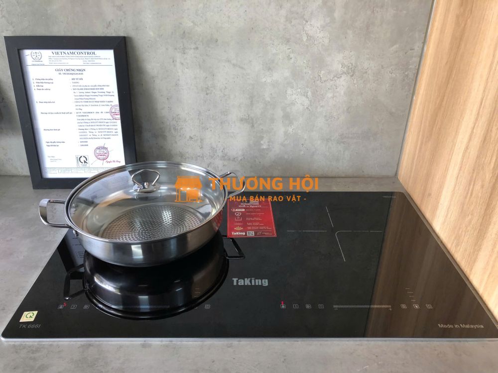 Bếp từ đôi TK 666I TaKing, Thiết Kế Hiện Đại, Thẩm Mỹ