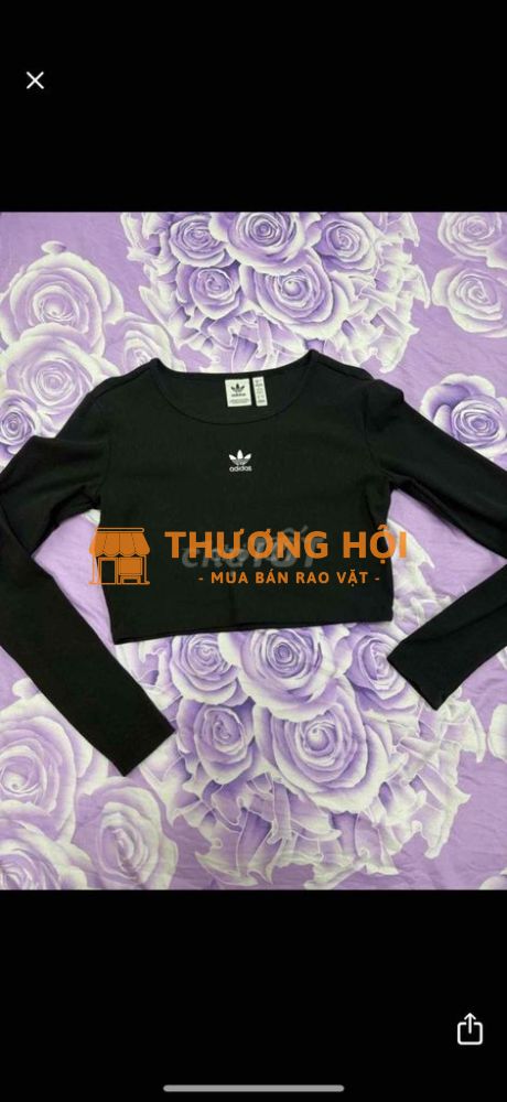 ao adidas authentic