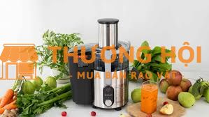 Máy ép trái cây công suất lớn dùng cho quán sinh tố, Café, nhà hàng