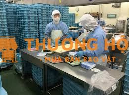 Cần 4 nữ đi xkld Đài Loan đơn hàng chế biến thực phẩm