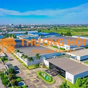 Chăm sóc cây xanh 2025 – Khu công nghiệp Amata, Biên Hòa, Đồng Nai