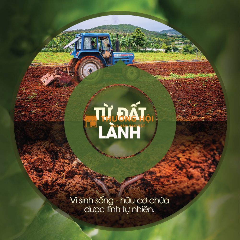 Từ đất lành, gieo mầm hữu cơ - Thực phẩm G.Organic