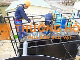01 Nhân viên kỹ thuật (Quản trị công sở)
