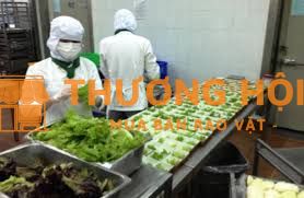 Tuyển Nam/ Nữ Chế Biến Suất ăn tại SB Tân Sơn Nhất