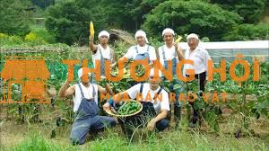 Cần 6 nam tham gia đơn hàng xkld ngành nông nghiệp tại Nhật Bản