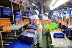 XKLD Nhật Bản đơn hàng kiểm tra, đóng gói nhựa