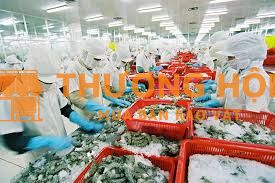 XKLD Nhật Bản đơn hàng chế biến thuỷ sản cần 2 nữ