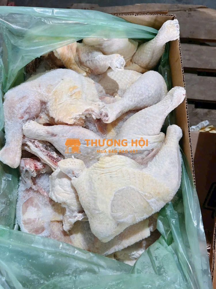 Thịt Gà Góc Tư Đông Lạnh Giá Tận Kho – Cam Kết Hàng Chuẩn