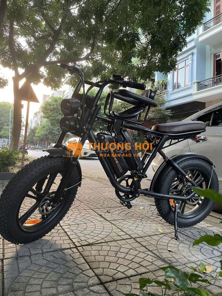 Xe đạp điện Engwe M20 Đen Đã qua sử dụng