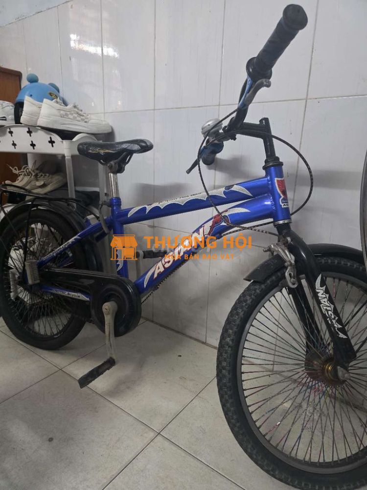 Xe đạp Asian Thể thao 20 inch